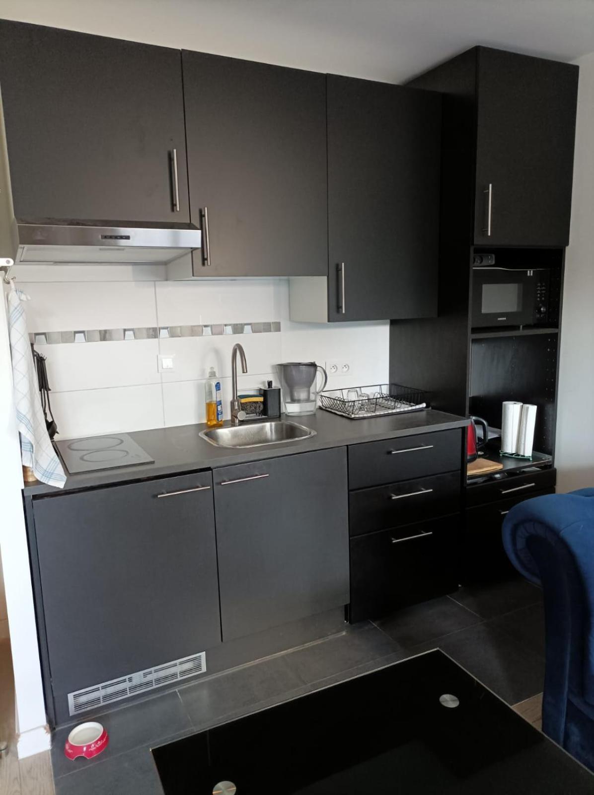 Appartment Porte De Versailles Paris Expo Issy-les-Moulineaux Eksteriør billede